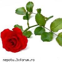 :nod: poze